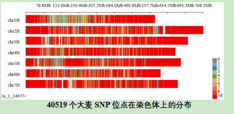 产48.1